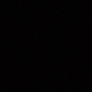 Meet your Posher, Natasha